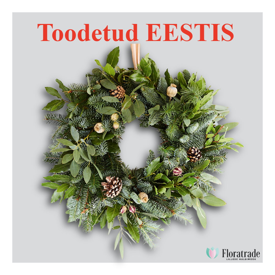 taust (29).png (1.35 MB)